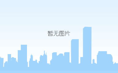 锐龙ai9 365
